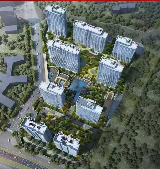 合肥伟星T10新房周边配套-学区(图2)
