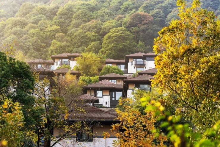 >而富春山水诗画胜境之间,"隐逸居公望"无疑是与高阶精英们智慧匹配