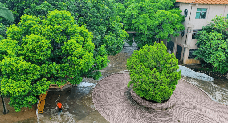 花山镇敬老院2026入住全攻略:收费明细+专业照护+交通路线+地址揭秘(图1)