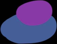 蓝城英冠滨悦城售楼处电话·售楼中心电话→楼盘百科详情→首页网站