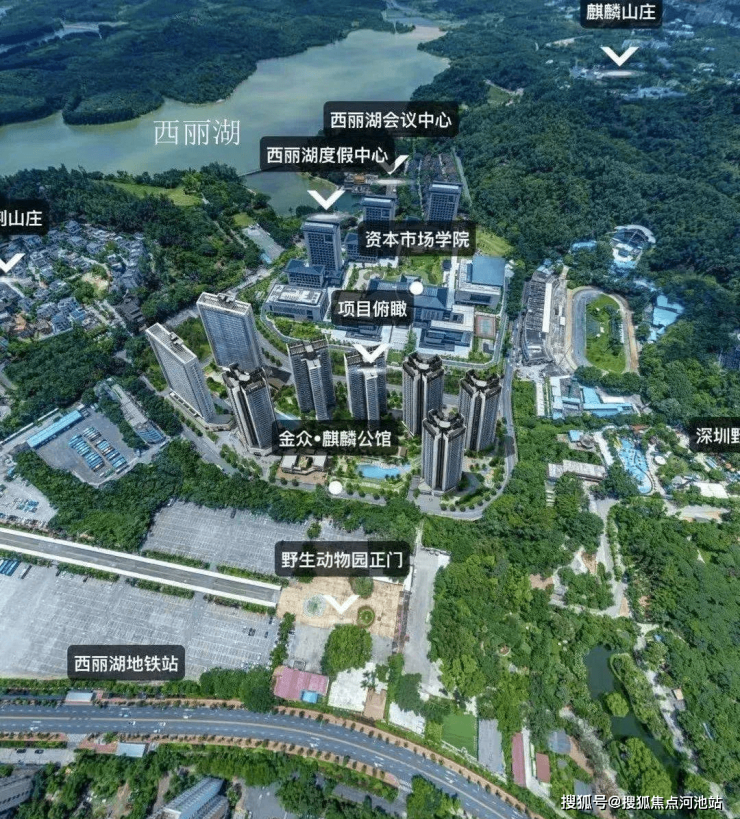 金众麒麟府(深圳)金众麒麟府_南山金众麒麟府欢迎您丨金众麒麟府楼盘详情-河池搜狐焦点