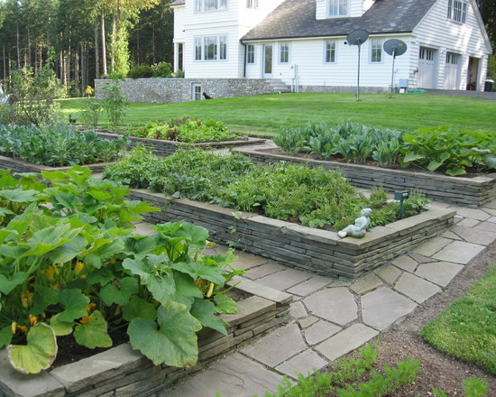 花园变身菜园14款家庭小菜园赏析