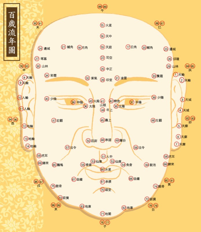 打造完美家居环境 如何在生活和工作中识人善用