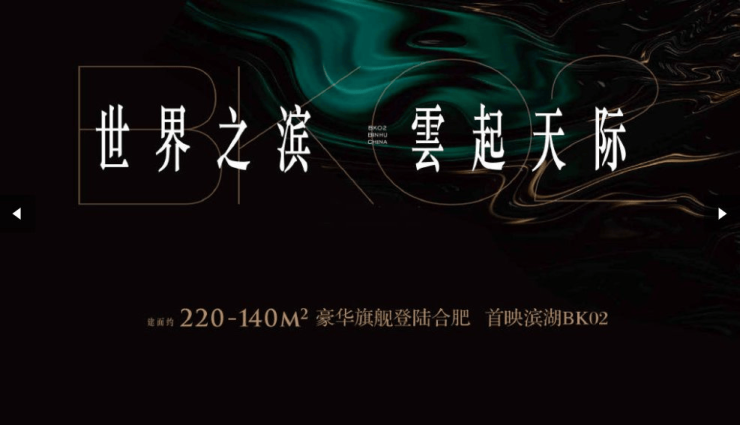 华润城建望云楼盘-2026年最新房价-户型-容积率-小区环境-合肥新房(图6)