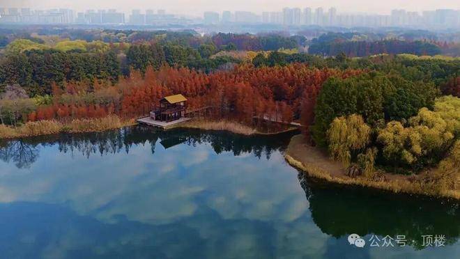 官网发布虎丘壹号售楼处-官方网站-虎丘壹号楼盘百科-苏州好房@AI热搜-()首页官方网站-营销中心欢迎您(图13)