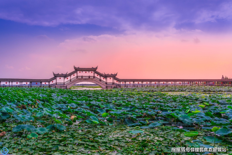 万科常春藤欢迎您(昆山)万科常春藤首页网站丨房价_户型图_地址_楼盘