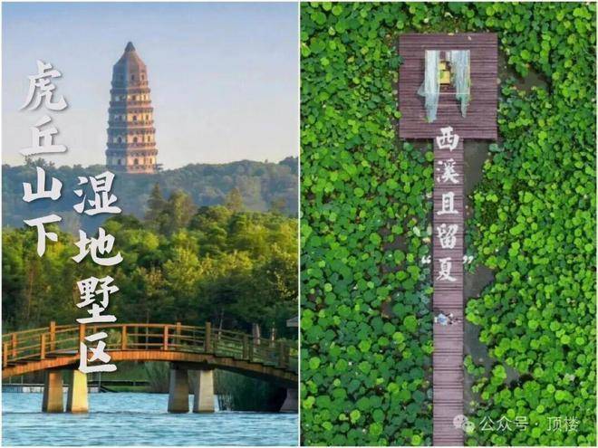官网发布虎丘壹号售楼处-官方网站-虎丘壹号楼盘百科-苏州好房@AI热搜-()首页官方网站-营销中心欢迎您(图14)