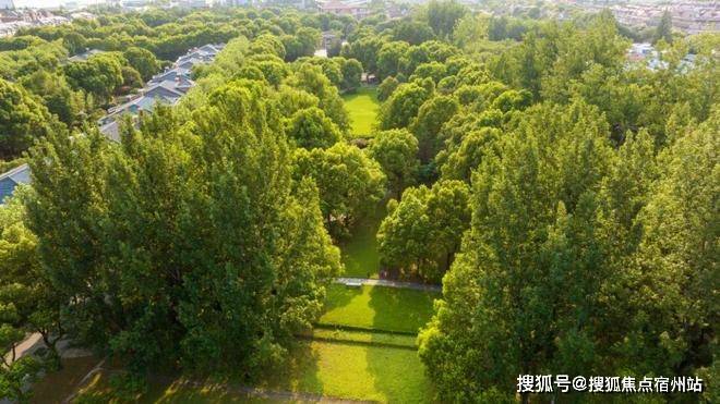 绿宝园官方售楼处电话(绿宝园)官方网站-营销中心欢迎您-楼盘详情最新价格-户型图-容积率(图2)