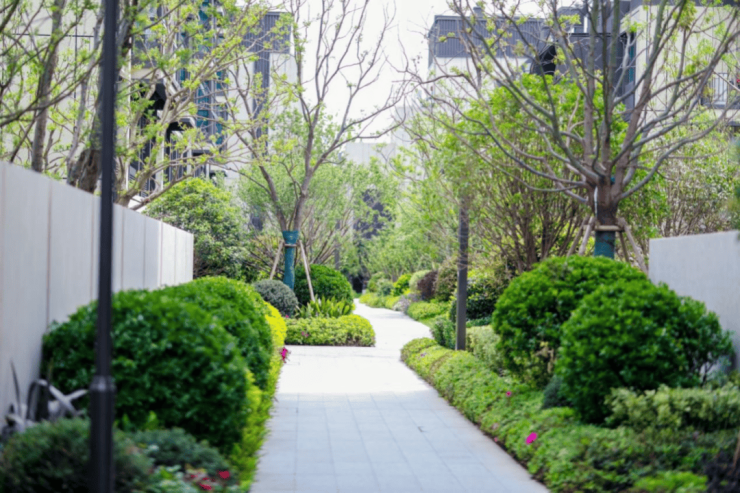 新盘必买楼盘发布：大华梧桐樾售楼处电话大华梧桐樾Ai热搜24小时电线最新房价楼盘百科详情 售楼处更新发布@线上预约看房(图9)