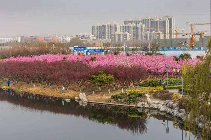 繁华与繁花都近在咫尺家门口的自然生态之地外拥凤凰河湿地公园智谷