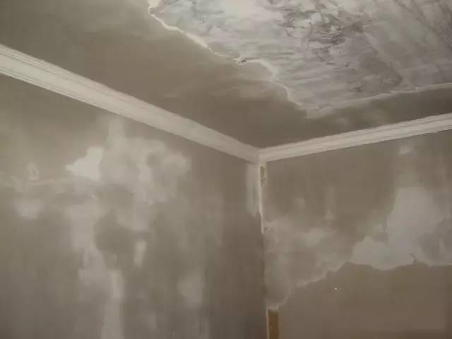 8b7aadb0-d6d1-4fe9-8ebd-df61eae426a9.JPEG