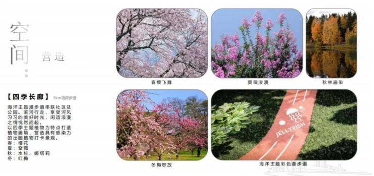 国贸虹桥璟上国贸虹桥璟上最新房价房型图户型图交通地铁楼盘地址