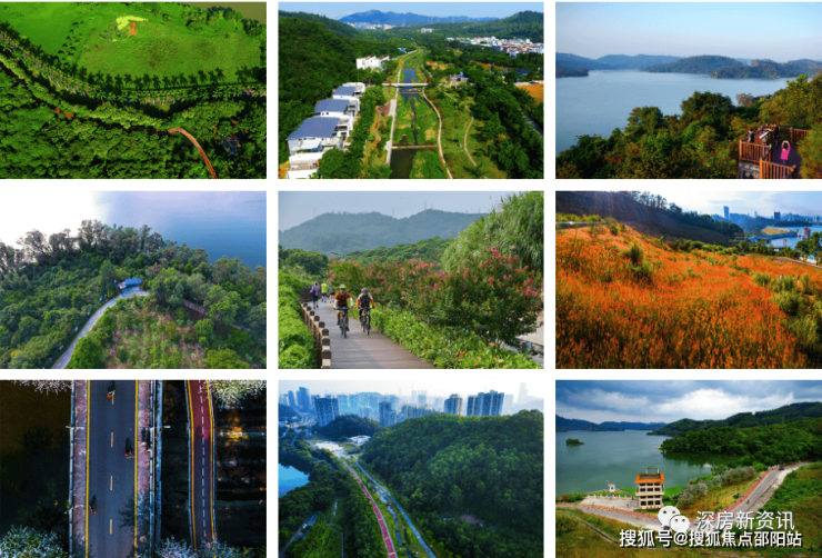 洪湖公园,翠竹公园,东湖公园,黄贝岭公园,人民公园,园科公园等公园