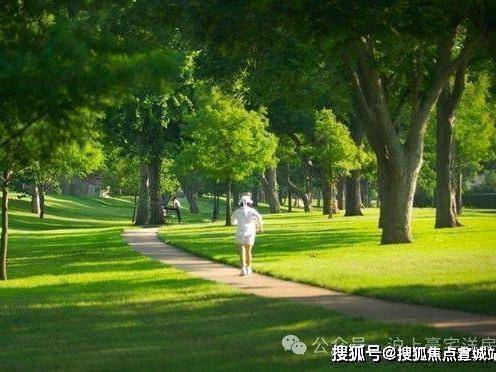 鑫湾甲邸官方营销中心售楼处_24小时预约热线鑫湾甲邸楼盘容积率绿化率最新报价户型图高清实拍周边配套详情(图8)