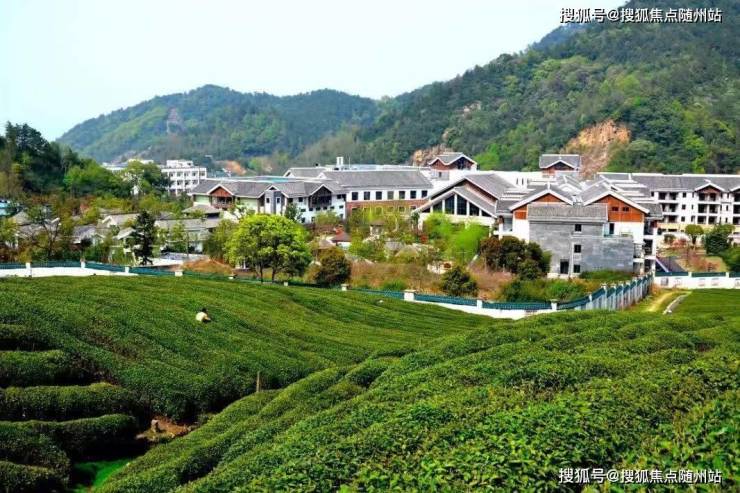 余姚阳明山居-宁波阳明山居楼盘详情-阳明山居房价-户型-容积率-小区