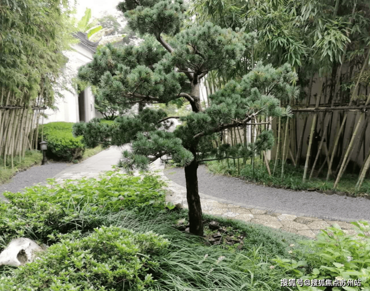 中式园林别墅苏州桃花源独栋 别墅多PG电子官网套房源可选 私藏一座江南园林看房预约热线(图9)
