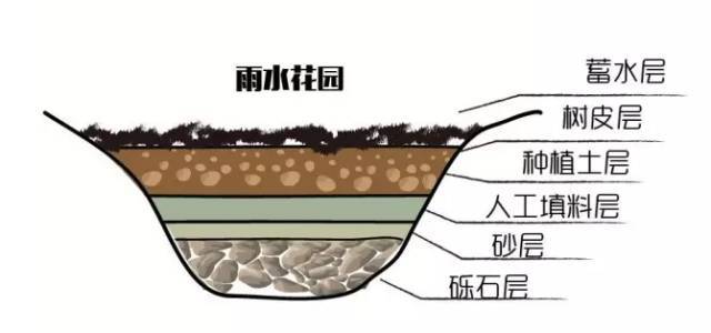 雨水花园地理图片