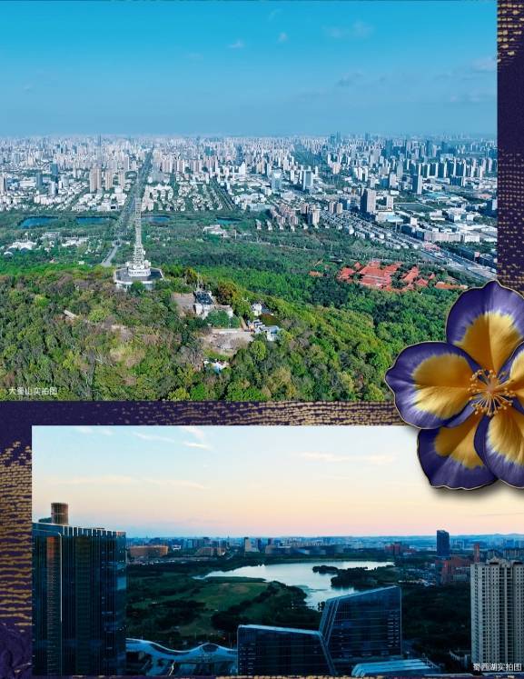 高新区绿城锦海棠项目【揭秘!楼面价背后的真相】