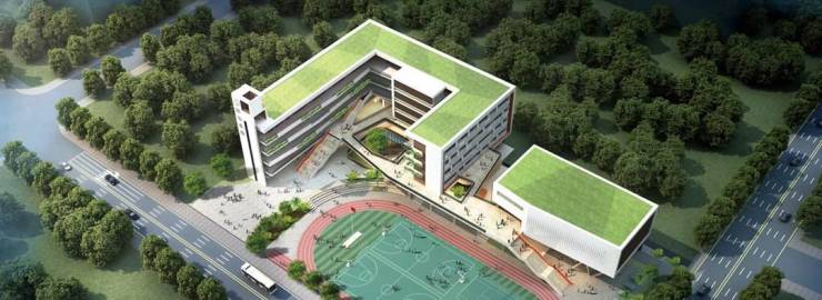 道尔顿新华公学,深大附小,南方科技大学实验一小,第二实验中学,香港培