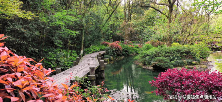 半山林畔周边景区实景图推开自家窗户,一键集齐森林,湖泊,泉水,公 
