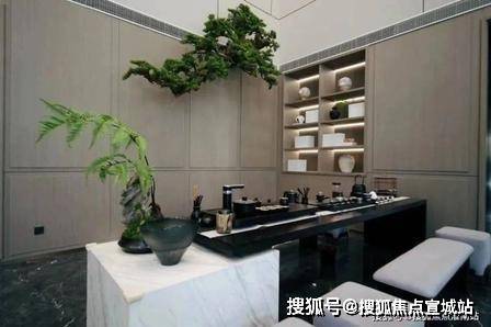 浅隐林泉官方营销中心售楼处_24小时预约热线浅隐林泉楼盘容积率绿化率最新报价户型图高清实拍周边配套详情(图8)