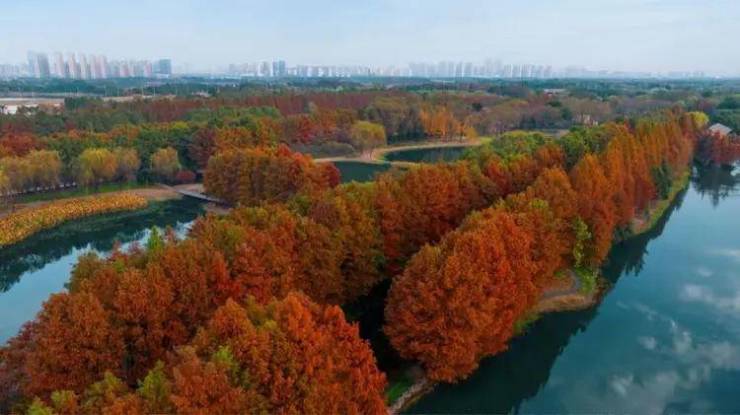 2026虎丘江南里售楼处电话_虎丘江南里预约看房通道楼盘详情最新房价户型图实时更新得房率周边配套优缺点(图7)