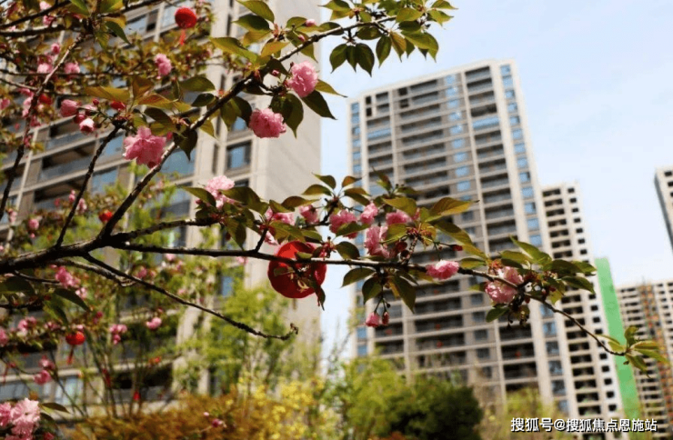 柳岸春风丨桐乡科大柳岸春风首页网站丨柳岸春风丨楼盘详情价格户型