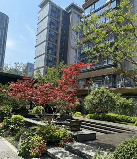 建发朗月官方售楼处电话(建发朗月)官方网站-营销中心欢迎您-楼盘详情最新价格-@2026806售楼处(图4)