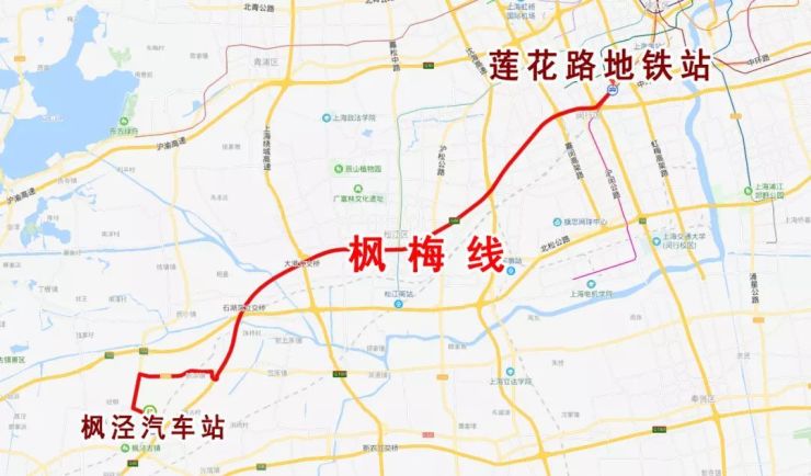 上海金山枫泾地铁规划图片