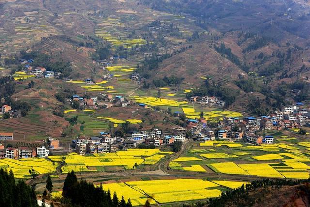 理产权证的抓紧了,这类房子无法办理了-重庆搜