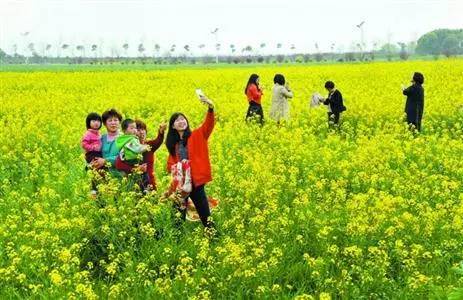 生态治理进入"深水区"的上海青浦是怎样啃下"硬骨头"的?