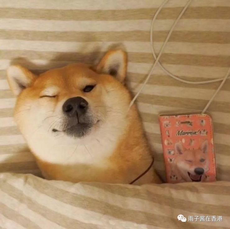 干货|2018年深圳入户补贴(区级)详情