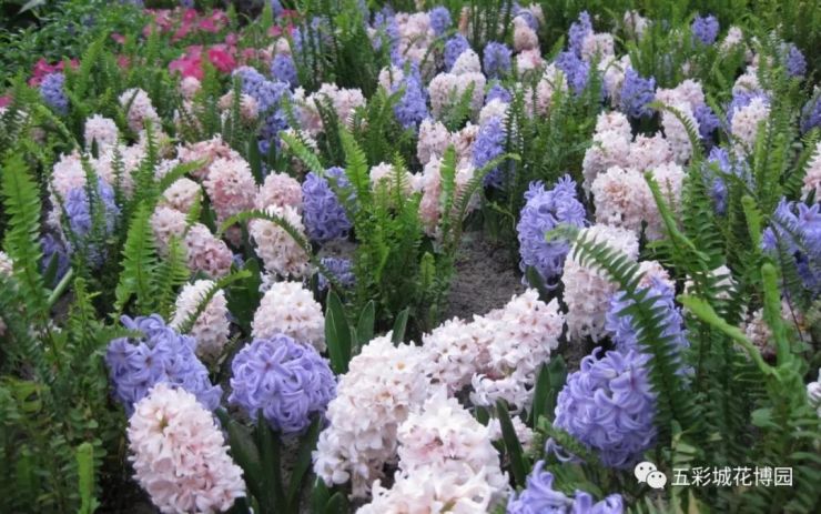 好消息赣州经开区五彩城春节期间试开园