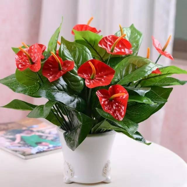 装修前,这些风水小细节也不可忽视!