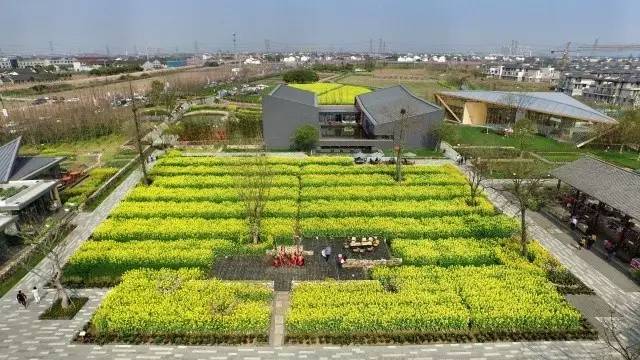 无锡阳山田园东方实景