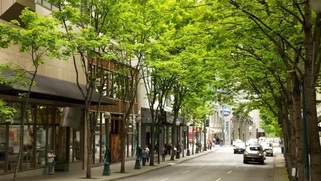 最有钱的中国人,不是在办移民美国,就是在移民