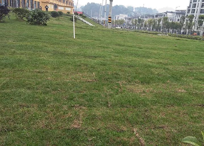 州高新区市政广场动工 绿化公园浮出水面.