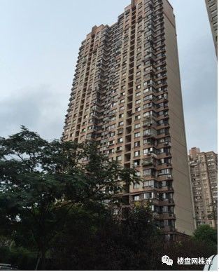 北京上海的公租房故事:如果能留下来,并